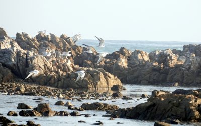 The hike along Cape Recife