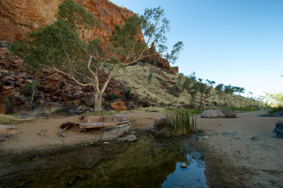 Near Alice Spring