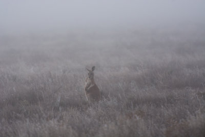 Mungo National Park -3 degree C