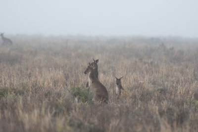 Mungo National Park -3 degree C