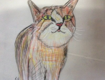 Cat pencil drawing on parchment