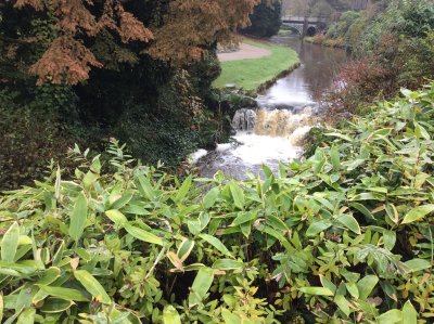 The Fast Flowing river of The Park Buxton