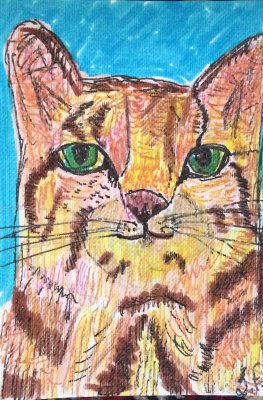 Cat painted with pens, watercolour and glitter pens