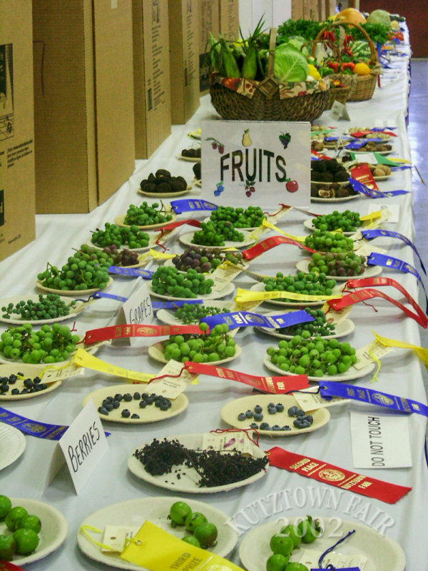PICT2107.jpg