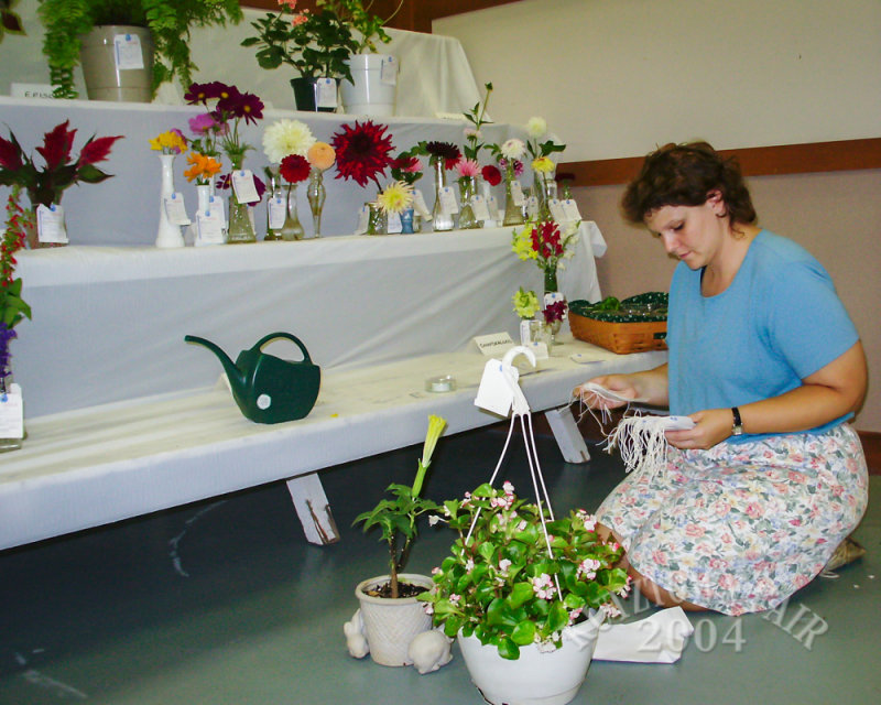 PICT7471.jpg