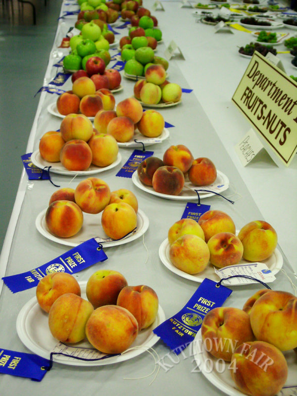 PICT7520.jpg