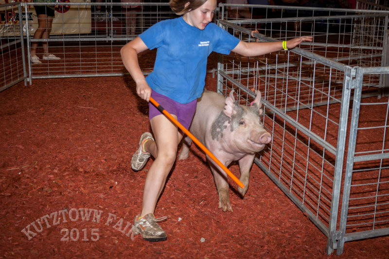 IMG_8186.jpg