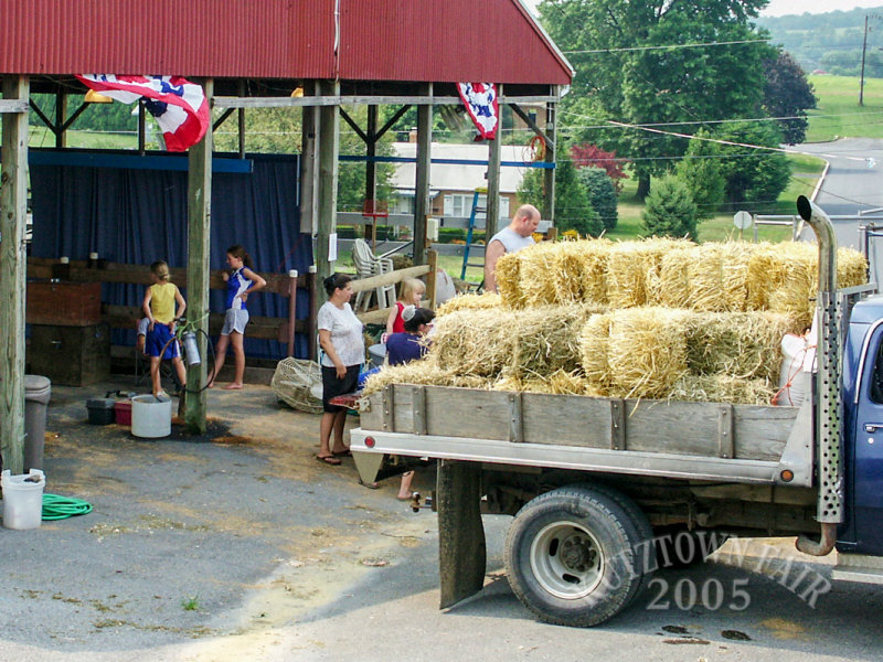 PICT0082.jpg