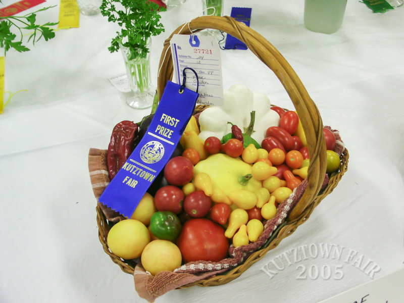 PICT9142.jpg