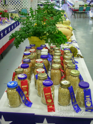 PICT7511.jpg