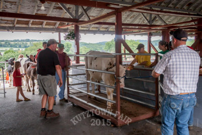 IMG_7417.jpg