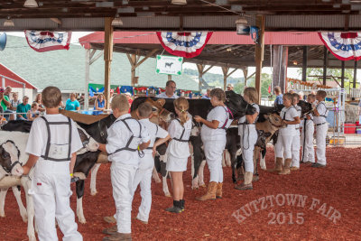 IMG_8341.jpg
