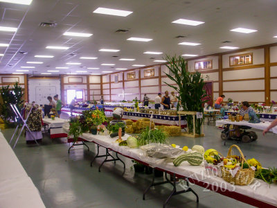 PICT4826.jpg