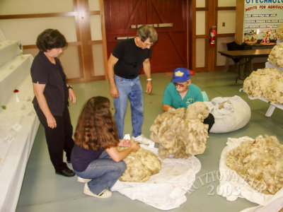 PICT4818.jpg