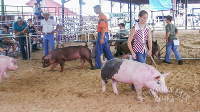 PICT4932.jpg