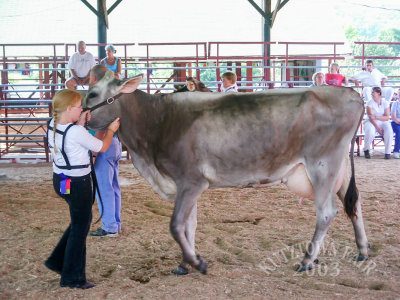 PICT5117.jpg