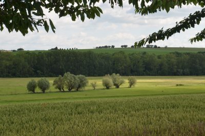 Burgscheidungen langs de Unstrut