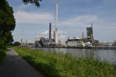 Lingen