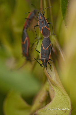 DS2_7760-8.jpg