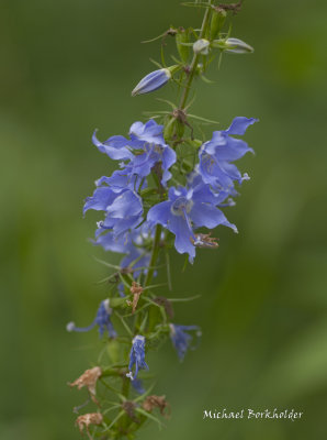 DS2_7795-18.jpg