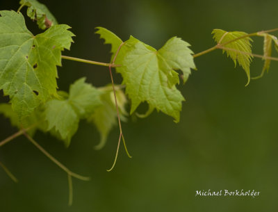 DS2_7796-19.jpg