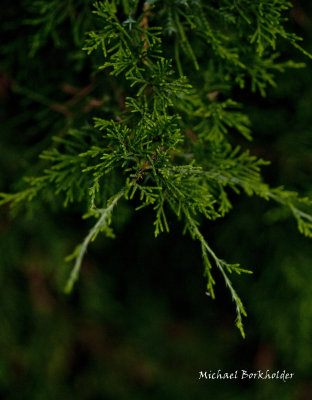 DS2_7819-24.jpg