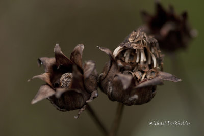 DS2_7848-29.jpg