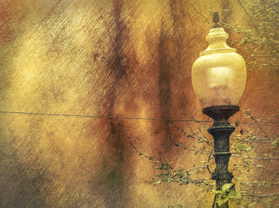 Enchanted Alley Light