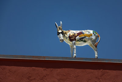 Carrizozo Burro