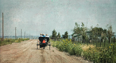 Saturday Field Trip, Monte Vista, CO