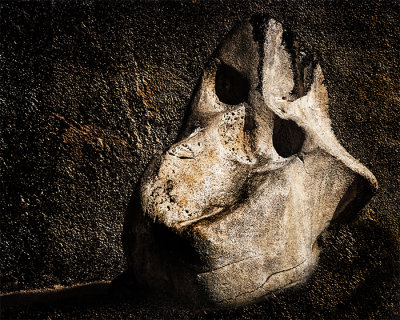Monkey Rock