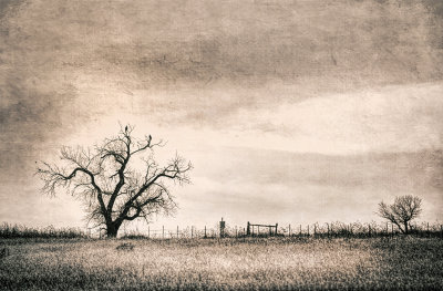Grassland Gate