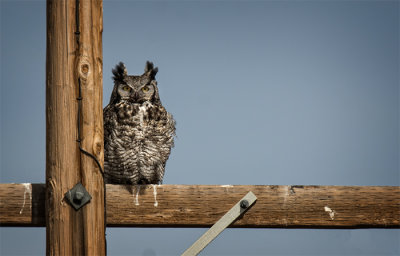 Monte Vista, Colorado - National Wildlife Refuge