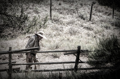 The Long Walk