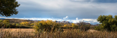 Bosque del Apache NWR