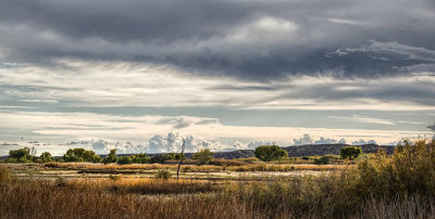 Bosque del Apache NWR