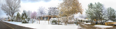 First December Snowfall