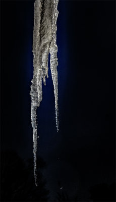 Winters Ice Sculpture