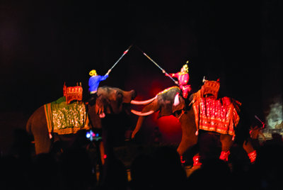 Elephants in Mock Battle