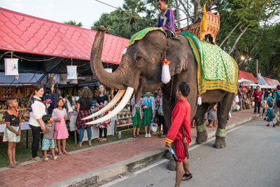 Elephant Greeting Children and Looking for Snacks