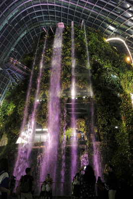 World's Tallest Indoor Waterfall , The 'Cloud Forest'