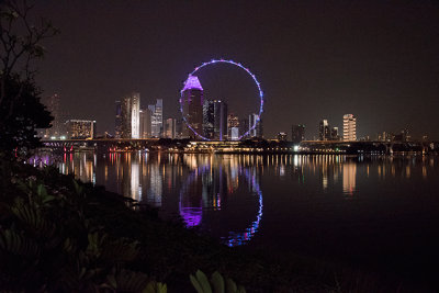 The Singapore Flyer