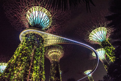 The Super Trees and Overhead Walkway