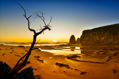 Secluded California Beach