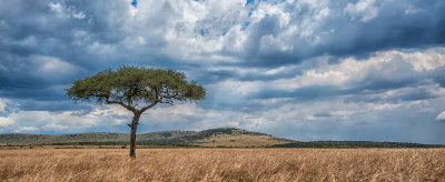 Kenya's Vast Plains