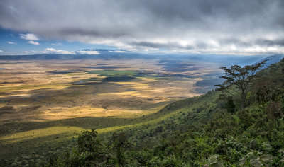 Ngorongoro Crater, First View