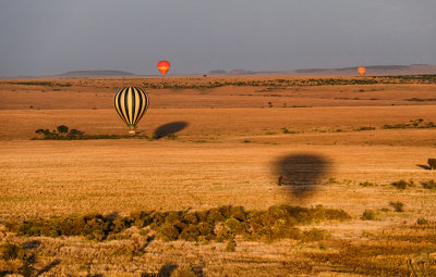 Morning Balloon Ride Landscape
