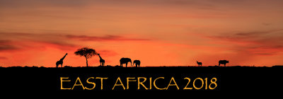 Africa Banner.jpg