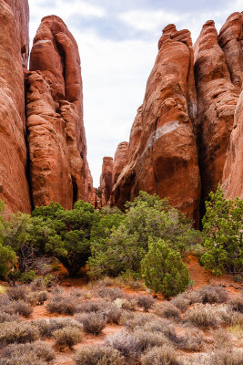 Sand Dune Arch Entry