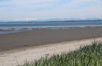 2 view of olympics from bottle beach 
